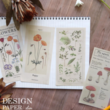 Carica l'immagine nel visualizzatore di Gallery, Design Paper slim "Antique Picture Book"