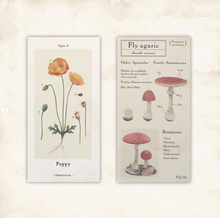 Carica l'immagine nel visualizzatore di Gallery, Design Paper slim "Antique Picture Book"