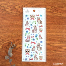 Lade das Bild in den Galerie-Viewer, Miki Takei mondo clear sticker "Ginger cat/Munchkin" from Japan by Clothes Pin