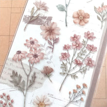 Charger l'image dans la galerie, Paper & Plant Sticker "brown" (Set of 2 sheets) from Japan<mind wave>