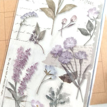 Charger l'image dans la galerie, Paper & Plant Sticker "purple" (Set of 2 sheets) from Japan<mind wave>