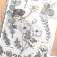 Charger l'image dans la galerie, Paper & Plant Sticker "green" (Set of 2 sheets) from Japan<mind wave>