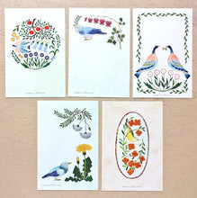 Load image into Gallery viewer, Midori Asano Post card set -Birds-