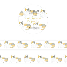 Carica l'immagine nel visualizzatore di Gallery, Masking tape Washi tape"Tortoiseshell cat" by Seitousha from Japan