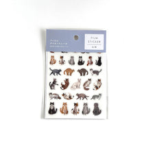 Charger l'image dans la galerie, Film Die Cut seal -Cat2- sticker from Japan