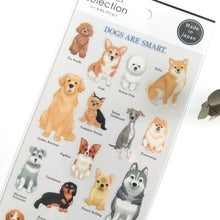 Load image into Gallery viewer, Sticker Selection "Dog/Cat"