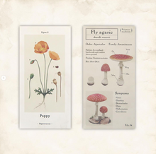 Charger l&#39;image dans la galerie, Design Paper slim &quot;Antique Picture Book&quot;
