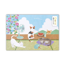 Carica l&#39;immagine nel visualizzatore di Gallery, Post card &quot;Summer Cat&quot; from Japan
