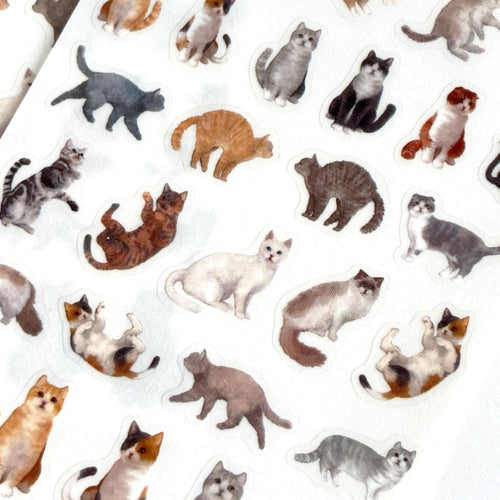 Film Die Cut seal -Cat2- sticker from Japan