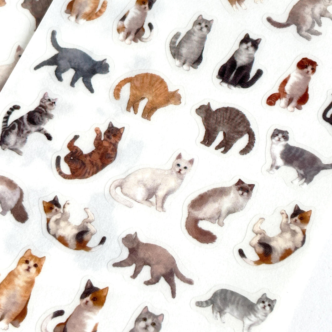 Film Die Cut seal -Cat2- sticker from Japan