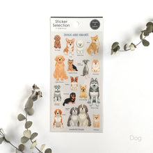 Charger l&#39;image dans la galerie, Sticker Selection &quot;Dog/Cat&quot;
