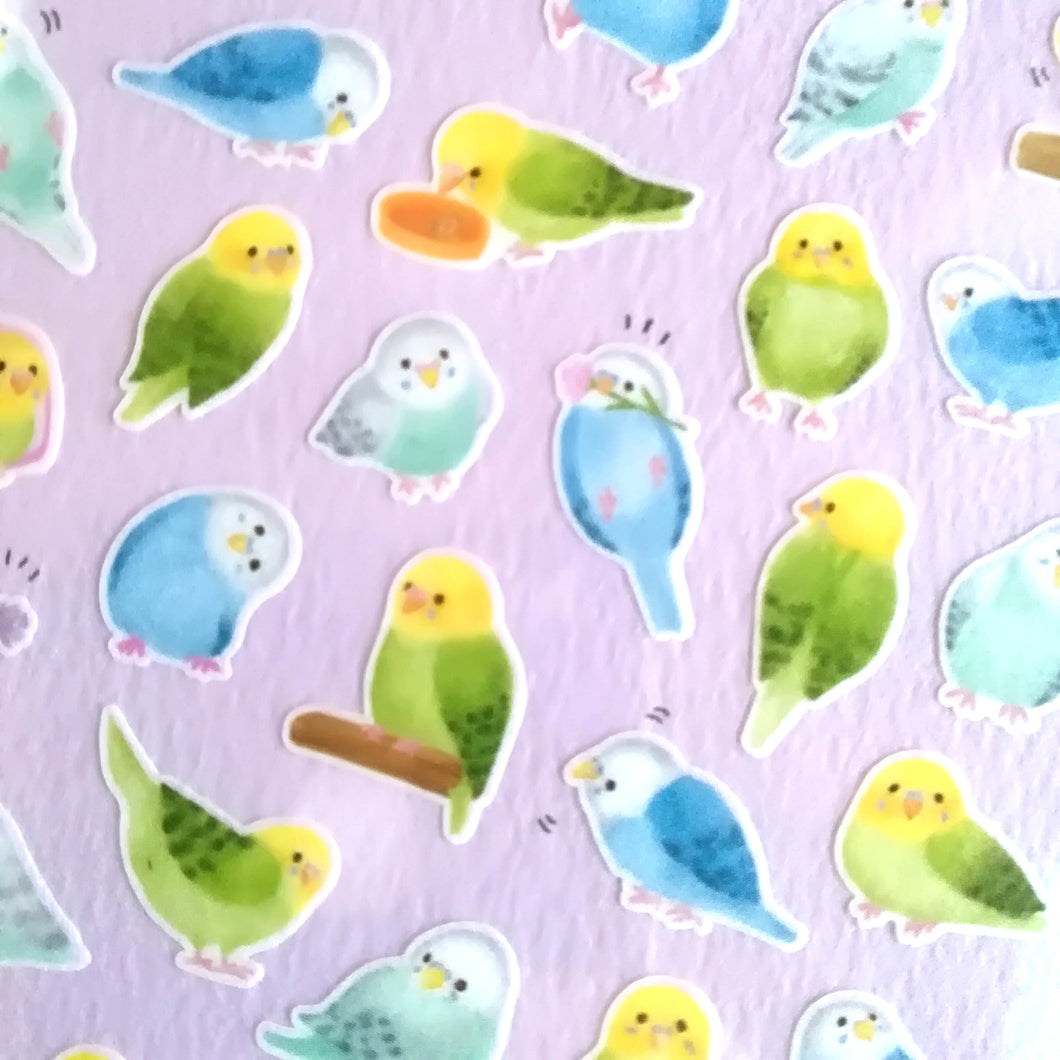 Mame Mame Animal sticker (Parakeet)masking sticker